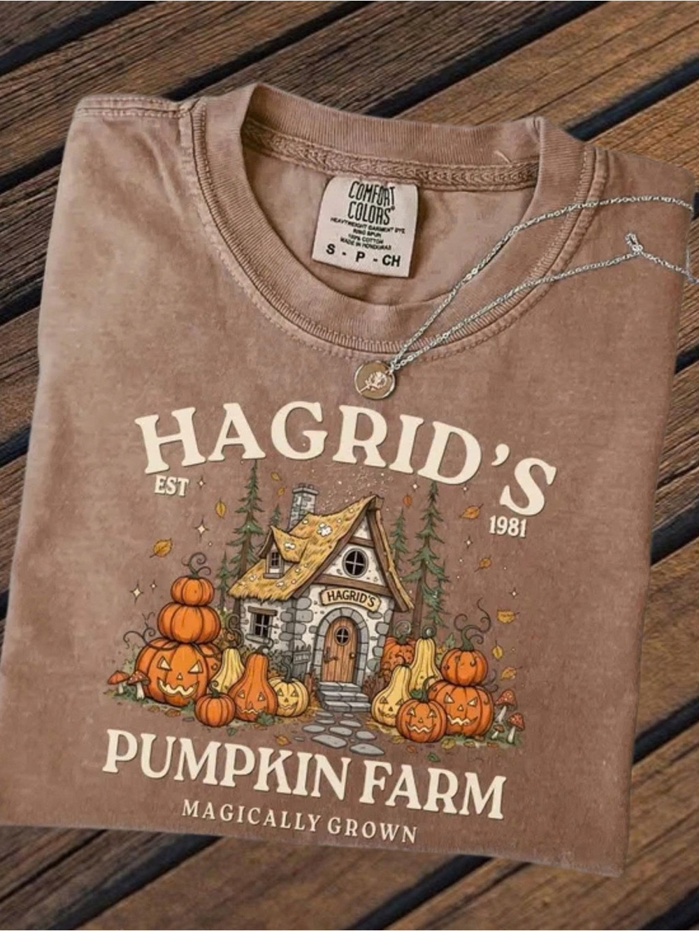 Comfort Colors Brown Hagrid’s Pumpkin Farm Graphic Tee